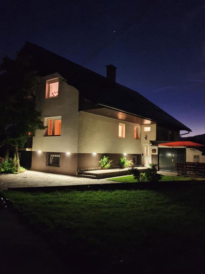 Honey Apartments Zirovnica Extérieur photo