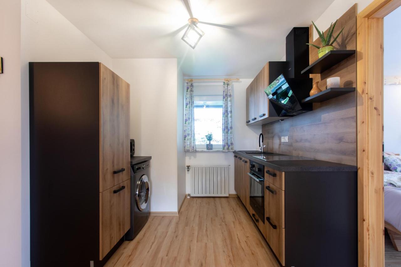 Honey Apartments Zirovnica Extérieur photo