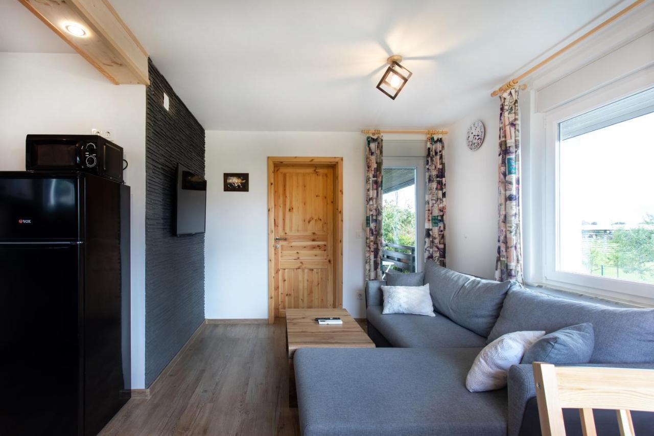 Honey Apartments Zirovnica Extérieur photo